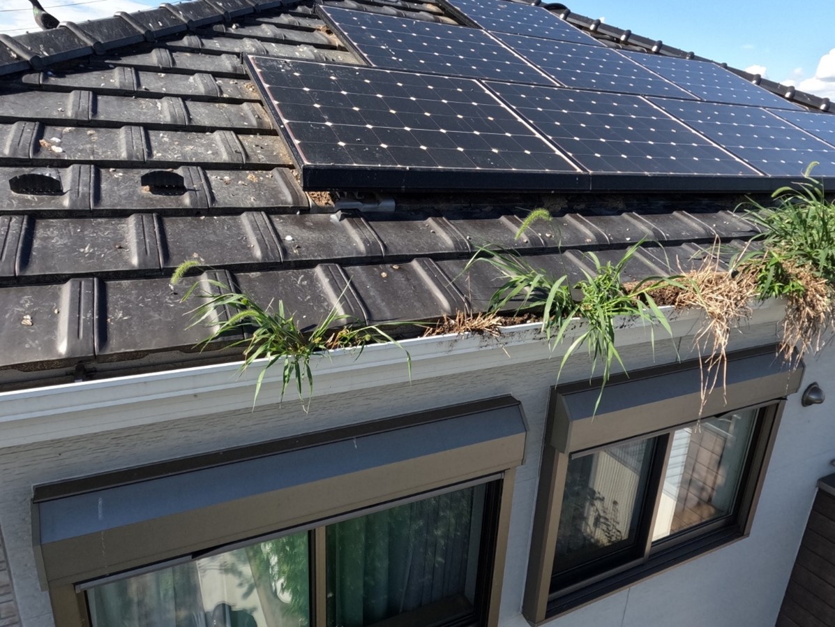 画像2 | 【 塗りかえ工房】開発サイト 【鳩よけ対策】太陽光パネルの隙間に鳩が巣を作る!効果的な防止工事事例【大垣市】 塗りかえ工房 岐阜県 安八